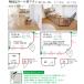 �� �P�[�W ���p �y�b�g�T�[�N�� �X�J���W�i�r�A���y�b�g�P�[�W plan:C XXL ����s�� �X�^�C���b�V�� �V���v�� �ڑ��� �W���C���g �T�[�N�� �֘A�摜3