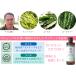 APDC �e�B�[�c���[�V�����v�[ �� �R���f�B�V���i�[ �V���L�[ 500ml ���ǂ�Q�{ APDC �� �V�����v�[ ���p�V�����v�[ ���̃V�����v�[ A.P.D.C apdc �֘A�摜2