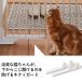 (�{�̕ʔ�) �̂ڂ��j�����o���A�t���[��p �L�e�B�K�[�h 2����(�V���Ή��i) �֘A�摜4