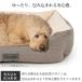 (�艿���37��OFF) �y�b�g�x�b�h �E�b�h�����h �{�b�N�X �x�b�h S �C�M���X�f�U�C�� scruffs �~�p �􂦂� ���� �� �L �y�b�g�p �~ �ӂ�ӂ� sale �֘A�摜4