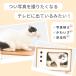 (�艿���70%OFF) �j�����R�m�C�G (�e���r�W����) �L �x�b�h �˂� �L���b�g �n�E�X �l�R �y�b�g �ؐ� �e���r ���g�� �� ���� �h�b�O ���� sale �֘A�摜2