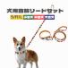  dog necklace Lead set small size dog medium sized dog Rainbow colorful possible love S M L canvas cloth ( cloth ) PU leather ( imitation leather ) rainbow color 