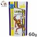 �L���[���� ���I�p�Q�� 60g