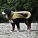GEWALKji walk защита плащ 4XL собака .. собака DOG одежда уличный 