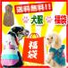 【送料無料】超お買得ドッグウェア3点セット 2016年 新年 福袋 サイズ:5号〜8号