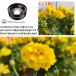�X�}�z �}�N�������Y iphone 100mm �c�ݖ��� �P�����Ȃ� HD ���掿 �K���X�����Y �֘A�摜3