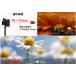 �X�}�z �}�N�������Y iphone 100mm �c�ݖ��� �P�����Ȃ� HD ���掿 �K���X�����Y �֘A�摜4
