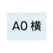 TOKISEI tokiwa .. постер для подставка табличка - акриловая пластина A0 PSAC-A0Y