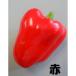  Япония работник . произведение . образец блюда паприка красный *IP-356