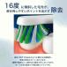 �d�����u���V �ւ��u���V �u���E�� �I�[����b ���� �}���`�A�N�V���� EB50 6�{ �Z�b�g oral b �I�[�����r�[ �N���X�A�N�V���� CROSS ACTION OralB Oral-B �֘A�摜2