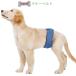 DogLemi for pets manner belt dog remi manner pants manner band diaper cover upbringing marking prevention toilet nursing PAE0071 free shipping 