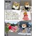 �� �� �a�� �a�� ���� ���^�� �`���� �g�C�v�[�h�� �t�H�[�}��  ���� �L �n���E�B�� �h�J �Ɩ� �a���� ������ �����̎q �L�O�� �B�e �y�b�g/�y�b�g�p�� POOKIE �֘A�摜4