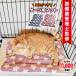  bed кошка зима ... зимний домашнее животное bed кошка модный рекомендация клетка для коврик .. теплый зимний весна лето осень /POOKIE клетка для коврик 