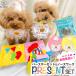 �y�b�g �������� �� ���a�����Z�b�g �X�^�C�n�b�g &amp; �m�[�Y���[�N �a���� BOOK �k�o�g���[�j���O �m��ߋ� �o�[�X�f�[ /�o�[�X�f�[�m�[�Y���[�N�Z�b�g
