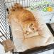  кошка клетка коврик домашнее животное bed 4 . шнур имеется кошка коврик симпатичный клетка для коврик шнур имеется ... bed ... коврик / всесезонный клетка для коврик 