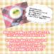 �w�Z���H�p�H�ށ@�퉷�@���Y���肨�낵��񂲁@/�@1kg�@�Ɩ��p�@��e�ʁ@���Y��񂲁@���낵��񂲁@���[�O���g�@�f�U�[�g�@���َq��� �֘A�摜1