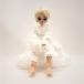 i Momo кукла кукла custom dada head парик европейская одежда imomodoll б/у *3118/ Shizuoka Shimizu магазин 