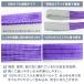 �X�����O�x���g 3m 2�{�Z�b�g �|���G�X�e���X�����O �ω�2000kg 50mm�~3m �x���g�X�����O �^���p�X�����O �֘A�摜4