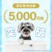 �y�b�g�V�[�c ���M�����[ ���C�h �X�[�p�[���C�h 1200�� 600�� 300�� �y�b�g�V�[�g �� �g�C���V�[�g 1��4.4�~�` ���L�g �֘A�摜1