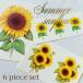  новое поступление! Poe погреб tsu транскрипция бумага [ белый фарфор для ]sa Martha n цветок (6 деталь комплект ) / подсолнух hi вокруг Mukou . цветочный принт лето желтый цвет желтый sunflower t0