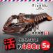 . омар море .( Canada производство ) 5 хвост ( примерно 480g×5)
