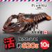 . омар море .( Canada производство ) 10 хвост ( примерно 620g×10)