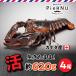 . омар море .( Canada производство ) 4 хвост ( примерно 620g×4)
