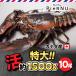 . омар море .( Canada производство ) очень большой 10 хвост ( примерно 1500g×10)