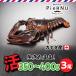 . омар море .( Canada производство ) 3 хвост ( примерно 350~400g×3)