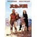 [ привилегия CL есть ] новый товар подлинный днем. ..[DVD] / (DVD) GNBF2889