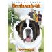 [ привилегия CL есть ] новый товар беж to- Ben 4 [DVD] / (DVD) GNBF3693