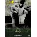 [ привилегия CL есть ] новый товар sinema язык .~ закадровый текст . приятный немой фильм ~chi-to/ (DVD) IVCF-4104-IVC