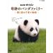  новый товар NHK специальный чудесный Panda Family ~ love . слезы. воспитание детей история ~ / (DVD) NSDS-22619-NHK