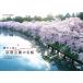  новый товар тихий краб .. Hirosaki парк. название Sakura / (DVD) NSDS-25270-NHK