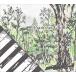 ����ŵCL�աۿ��� Piano set Ghibli / (V.A.) (CD) PSWS-1088-TOW