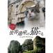 [ привилегия CL есть ] новый товар sin forest World Heritage. кошка ..Cats of the World Heritage / (DVD) SDA94-TKO