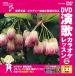 [ привилегия CL есть ] новый товар DVD энка караоке урок 132 / ( караоке DVD) VTG-132