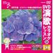 [ привилегия CL есть ] новый товар DVD энка караоке урок 134 / (DVD) VTG-134
