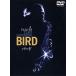 [ привилегия CL есть ] новый товар bird / (DVD) WTB11820