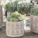  немедленно отгрузка цветочный горшок модный цемент посадочная машина .... наружный pot горшок 