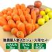  морковь морковь нет пестициды морковь овощи комплект морковь 3kg+ яблоко 1kg+ лимон 500g есть перевод сок для морковь сок гель son терапевтические овощи местного производства 