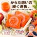 �ɂ񂶂�W���[�X ���Y�� �l�Q��񂲃������W���[�X 2�� �i���v100ml�~60P�j �l�Q�W���[�X �Ⓚ ���_��l�Q �ɂ񂶂��񂲃W���[�X ��؃W���[�X �֘A�摜1