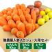  carrot carrot less pesticide carrot vegetable set 10kg+ apple 2kg+ lemon 1kg with translation juice for carrot juice gel son therapeutics vegetable domestic production 