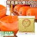 �l�Q�W���[�X ���Y�� �Ƃ��ׂ� �ɂ񂶂�W���[�X 4�� ���v100ml�~120P �Ⓚ �ɂ񂶂� ���_��l�Q �X�g���[�g ��؃W���[�X ����