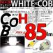 T828 LED 롼 WHITECOB H 85lm ۥ磻 1  4-A-2