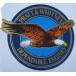 Pratt &amp; Whitney переводная картинка ( маленький )