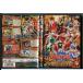 Pirate Squadron Gokaiger VOL.9/DVD б/у прокат / маленький .. futoshi / гора рисовое поле ../c9689