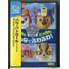 [ новый товар ]pau* Patrol season 3........, все . нежный!/DVD/n1373