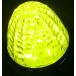JB LED�N���X�^���n�C�p���[�}�[�J�[�����v����  ���@12/24v���p