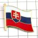  значок *srova Kia национальный флаг Deluxe тонкий catch имеется s осел Kia . глава булавка zSLOVAKIA SLOVAQ-REPUBLIC FLAG